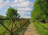 Path Along Petrovsky Val. Kopys, Belarus Stock Photo - Image of grass ...