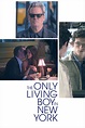 The Only Living Boy in New York (2017) - Posters — The Movie Database ...