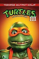 Teenage Mutant Ninja Turtles III (1993) - Posters — The Movie Database ...