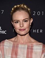 Kate Bosworth - The National Geographic 2017 TCA Press Reception in ...