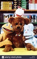 Rainbow (TV Series 1994–1995) - IMDb