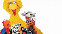 Sesame Street: Sing, Hoot & Howl with the Sesame Street Animals (1991 ...