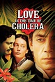 ‎Love in the Time of Cholera (2007) directed by Mike Newell • Reviews ...