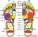 如何按摩脚底穴位_999穴位网