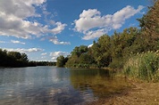 Flaches Ufer Foto & Bild | sommer, wasser, bäume Bilder auf fotocommunity