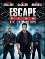 Prime Video: Escape Plan: the Extractors Aka Escape Plan 3