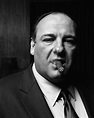 James Gandolfini | Famous cigars, Sopranos, Cigars