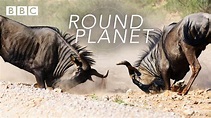 Round Planet (TV Series 2016) - IMDb
