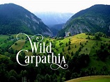 Documentary: Wild Carpathia