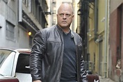 The roles of Michael Chiklis
