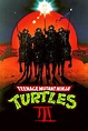 Teenage Mutant Ninja Turtles III (1993) - Posters — The Movie Database ...