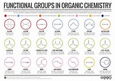 Functional Groups in Organic Chemistry [Infographic] | Chemistry.Com.Pk