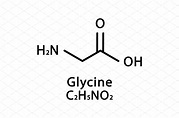 Glycine molecular structure. Glycine | Education Illustrations ...