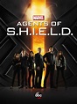 Agents of S.H.I.E.L.D. (#1 of 27): Mega Sized TV Poster Image - IMP Awards