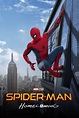 5 Fakta Tentang Film Spider Man Homecoming Bikin Nggak Sabar No - Gambaran