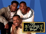 CULTURE CLASSICS - The Wayans Bros. TV Show