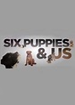 Six Puppies and Us | TVmaze