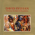 DAVID SYLVIAN Alchemy - An Index Of Possibilities reviews