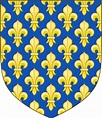 File:Arms of the Kings of France (France Ancien).svg - Wikipedia Coat ...