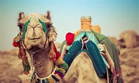 Cultura de Egipto | Características, costumbres y tradiciones