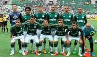Elenco do Palmeiras 2015 - Elencos