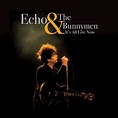 It's All Live Now - Album by Echo & the Bunnymen | Spotify