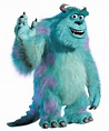 Sulley | Monsters inc characters, Sully monsters inc, Pixar characters