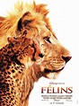 Félins - Documentaire (2012) - SensCritique