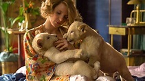 Wallpaper The Zookeeper's Wife, Jessica Chastain, lion, best movies ...