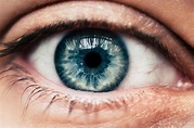 Augenarzt Treuchtlingen Dr. Petra Sulla | Anatomie des Auges