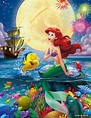Ariel - Disney Princess Photo (40062255) - Fanpop