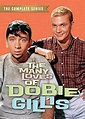 The Many Loves of Dobie Gillis (TV Series 1959–1963) - IMDb