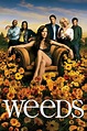 Weeds (TV Series 2005-2012) - Posters — The Movie Database (TMDB)