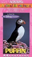 Audubon's Animal Adventures: Puffin (1997) - | Synopsis ...
