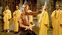 The 36th Chamber of Shaolin Movie Review - Martial Journal