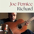 The Perlich Post: Joe Pernice's new solo album, Richard out now!