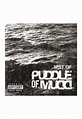 Puddle Of Mudd - Icon - CD | IMPERICON US
