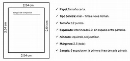 Normas APA: Una guía completa para la presentación de tus trabajos ...