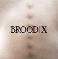 Boss Hog Release First Album In 17 Years Brood X Today + US Tour ...