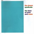 Michael Doherty's Music Log: The Dream Syndicate: “The Days Of Wine And ...