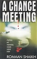 A Chance Meeting - BookGanga.com