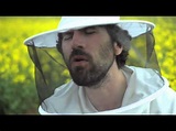 Gruff Rhys – Honey All Over (Official Video) | Daily Track