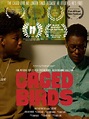 The Film Catalogue | Caged Birds