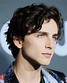 Pin by ayn on timmy | Timothee chalamet, Guys, Beautiful men