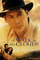 A Walk in the Clouds (1995) - Posters — The Movie Database (TMDB)