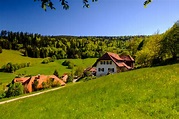 Der Schwarzwaldhof Foto & Bild | world, sonne, frühling Bilder auf ...