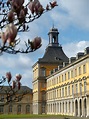 Immunologie im Fokus – neue Masterstudiengänge in Bonn