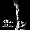 Vinicius Cantuária - Indio de Apartamento - Recensioni - SENTIREASCOLTARE