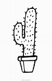 Dibujo De Cactus Para Colorear - Ultra Coloring Pages