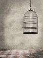 Birdcage Stock Photos, Pictures & Royalty-Free Images - iStock